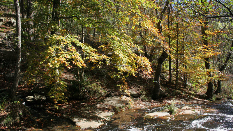 Parque Natural Montseny